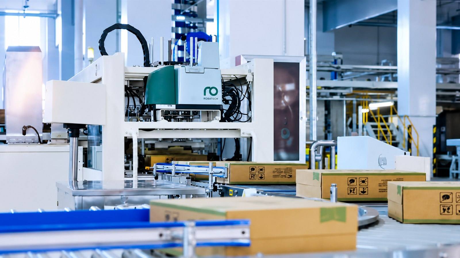 BUBR automated carton packing line in a clean factory