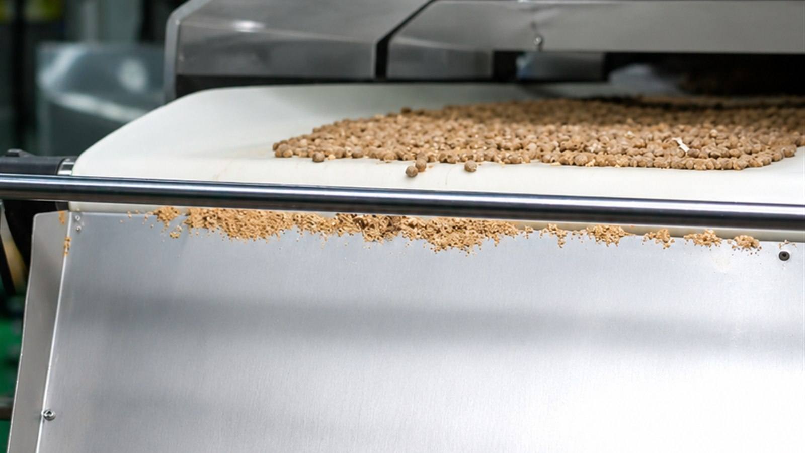 BUBR kibble production line with pet food on a stainless steel conveyor